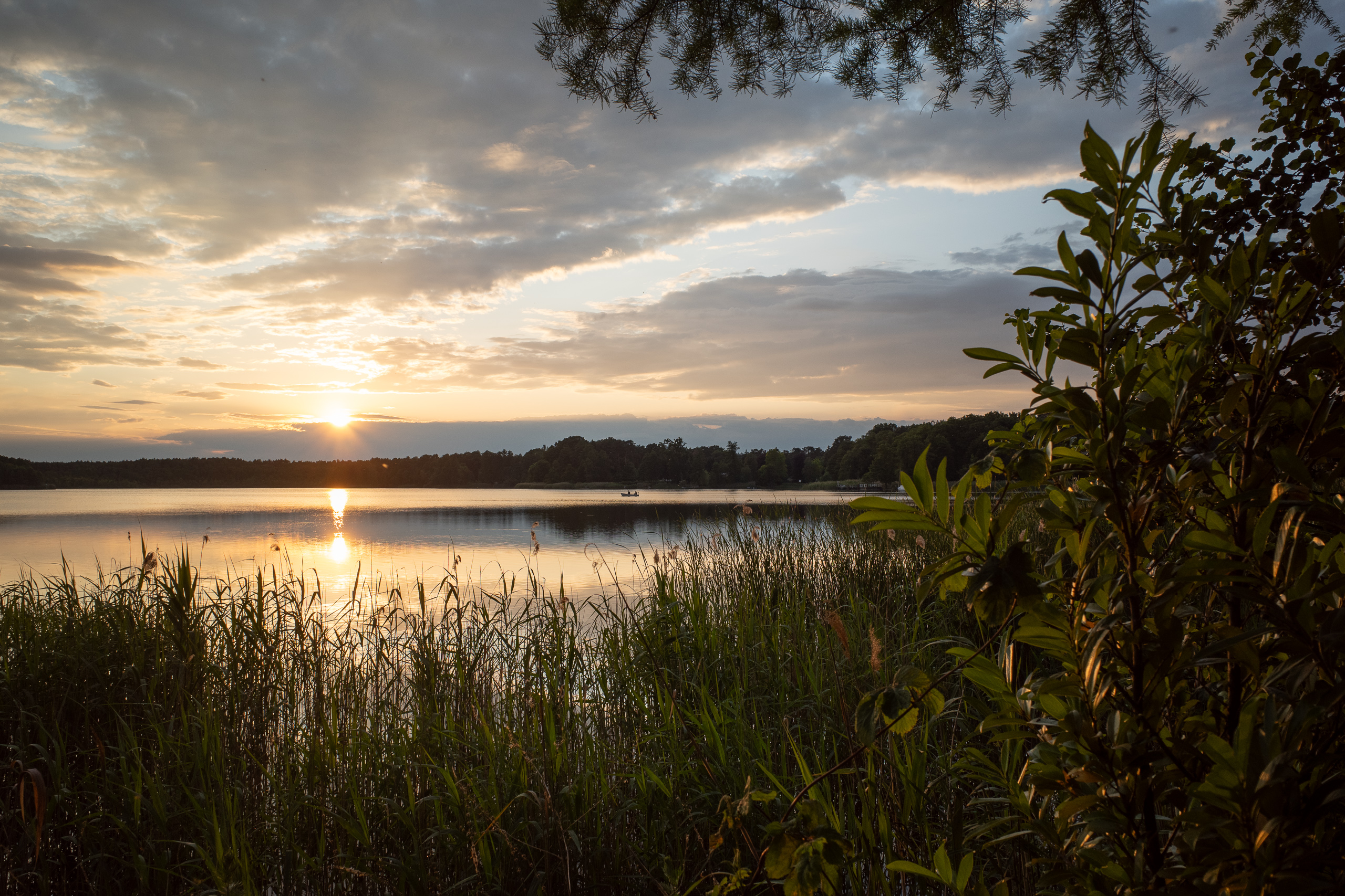 Frühnebel über dem Wasser